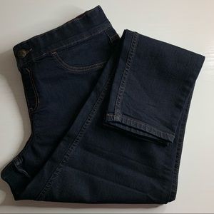 ♦️Lane Bryant Jeggings